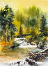 Link to the enlargement page for After the Flood - Spearfish Canyon