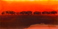 Link to the enlargement page for Tatanka Sunset